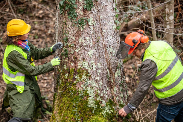 Best Tree and Shrub Care  in Byng, OK